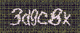 CAPTCHA_picture